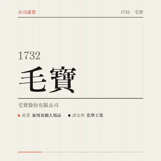 毛寶 公司速覽影片封面