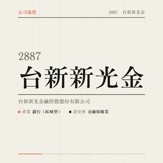 台新新光金 公司速覽影片封面