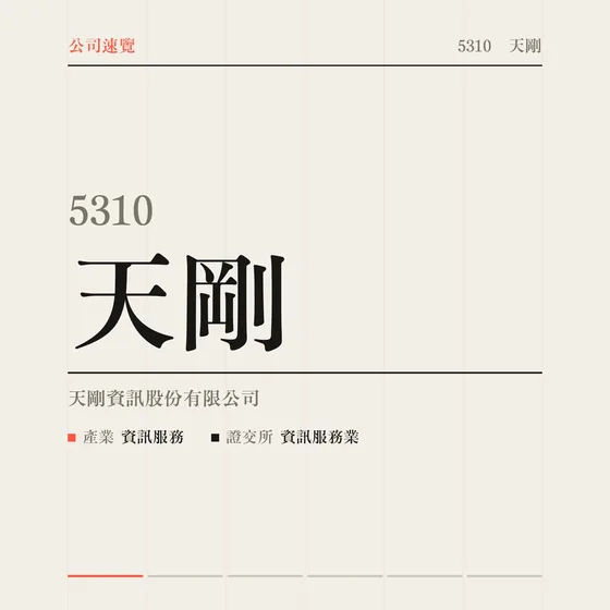 天剛 公司速覽影片封面