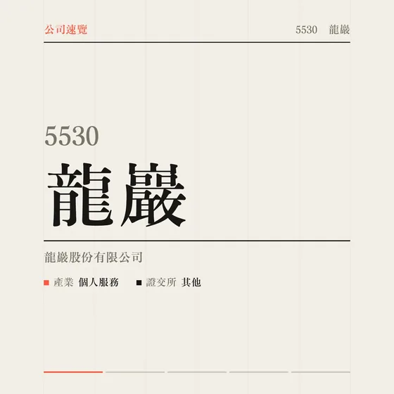 龍巖 公司速覽影片封面