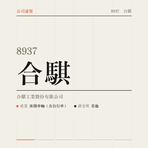 合騏 公司速覽影片封面